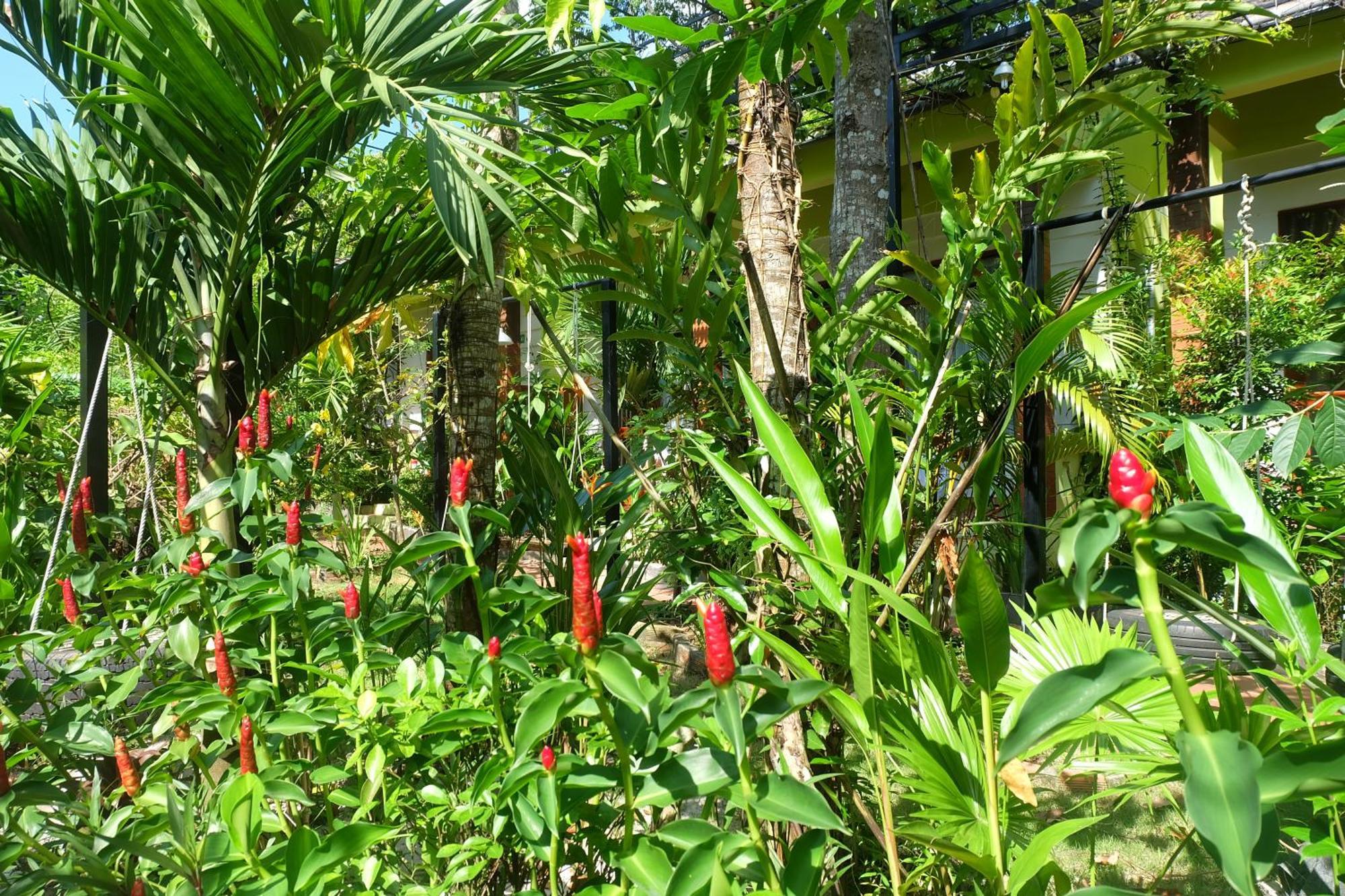 Mai Binh Phuong Bungalow Phú Quốc Ngoại thất bức ảnh